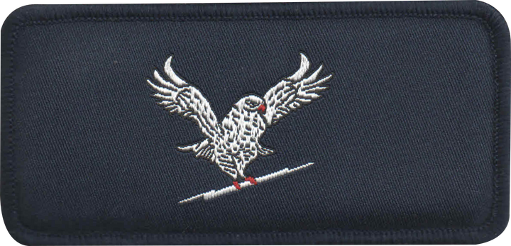 Assorted Woven Patches VI - Indian Air Force