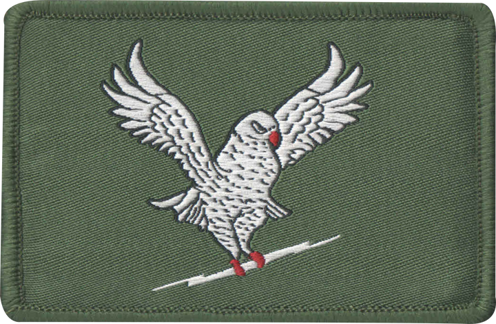 Assorted Woven Patches VI - Indian Air Force