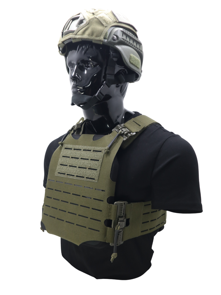 Minimalist Skeletal Plate Carrier