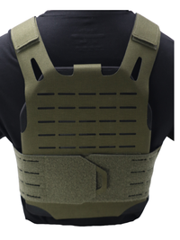 Thumbnail for Minimalist Skeletal Plate Carrier
