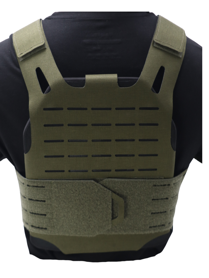 Minimalist Skeletal Plate Carrier
