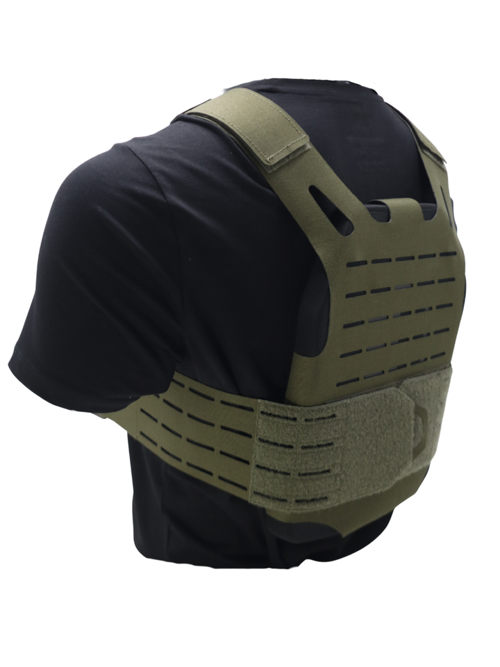 Minimalist Skeletal Plate Carrier