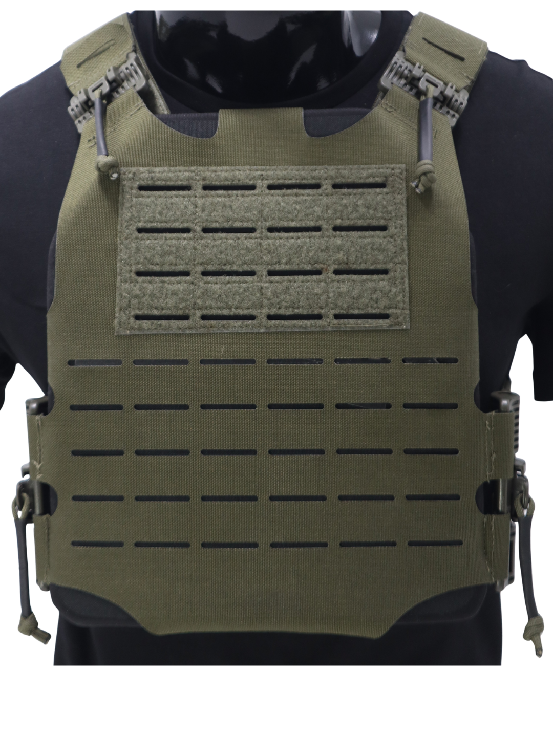 Minimalist Skeletal Plate Carrier