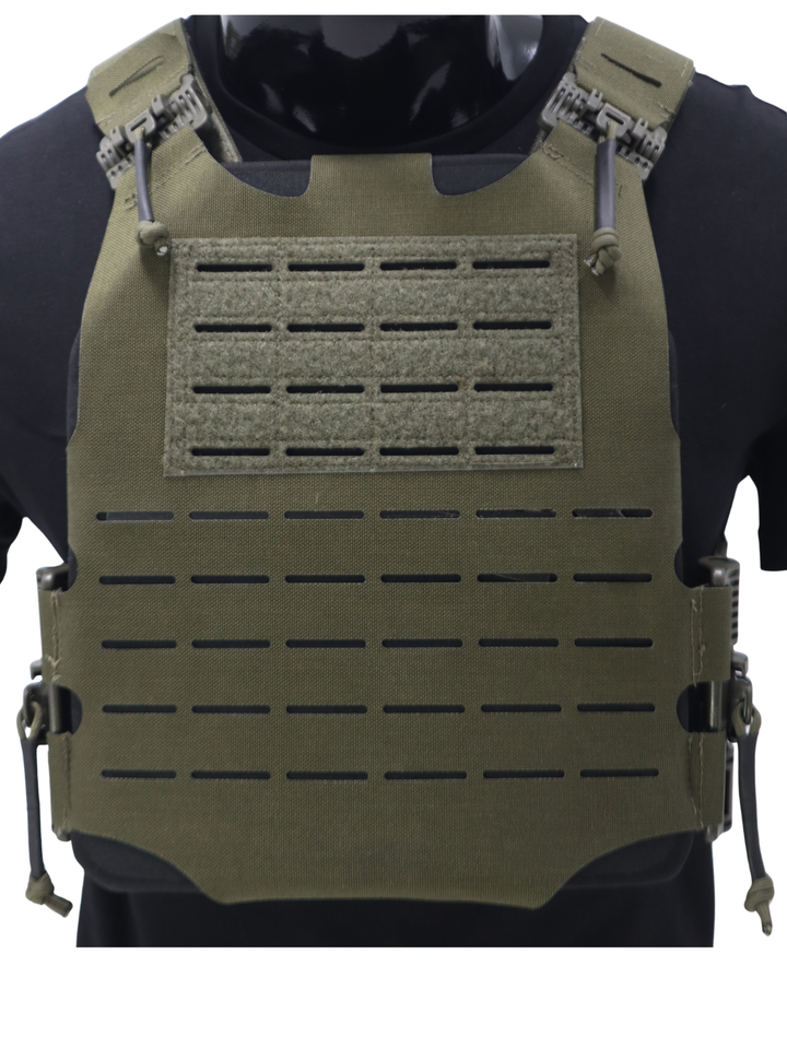 Minimalist Skeletal Plate Carrier