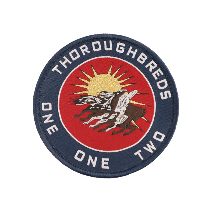 Assorted Woven Patches VI - Indian Air Force